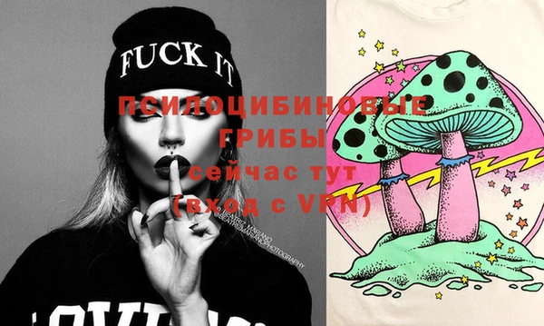 дмт Надым