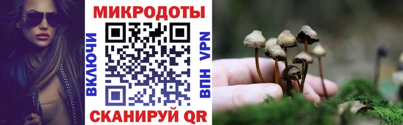ссылка на мегу   Медынь  Псилоцибиновые грибы Psilocybine cubensis 